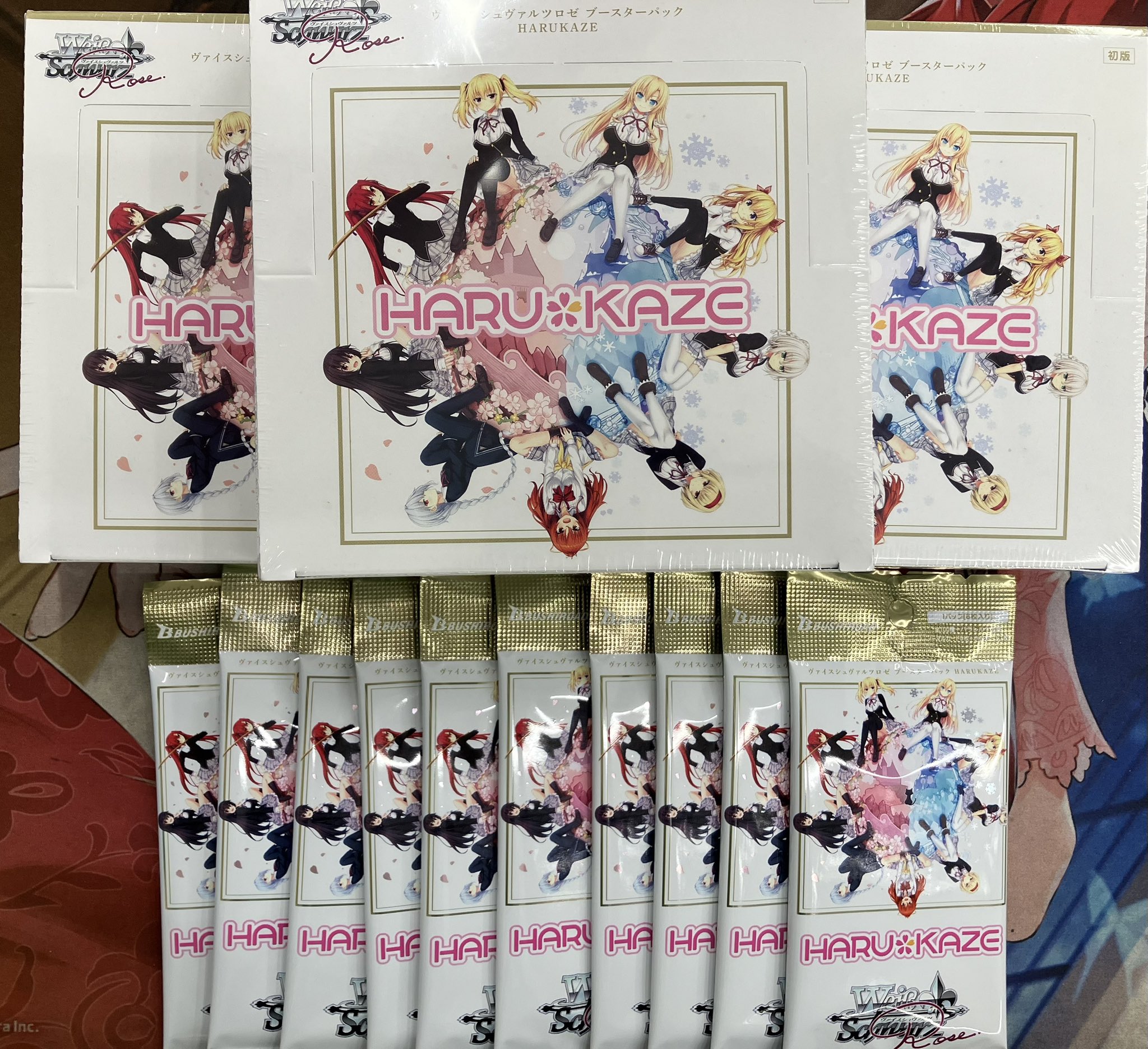 ヴァイスシュヴァルツ 空条承太郎 psa10 最新ケース 14827-6577-