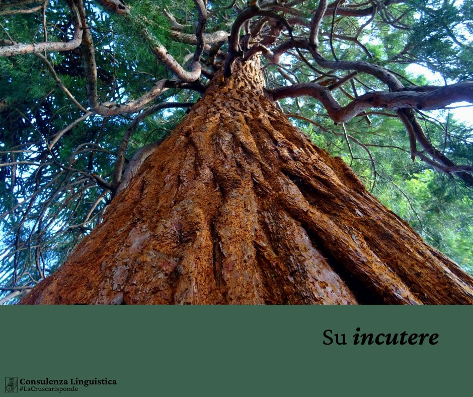 Incutere paura, timore, soggezione... si può incutere anche simpatia o solo sentimenti negativi? La risposta di Edoardo Lombardi Vallauri: bit.ly/incutere_crusca