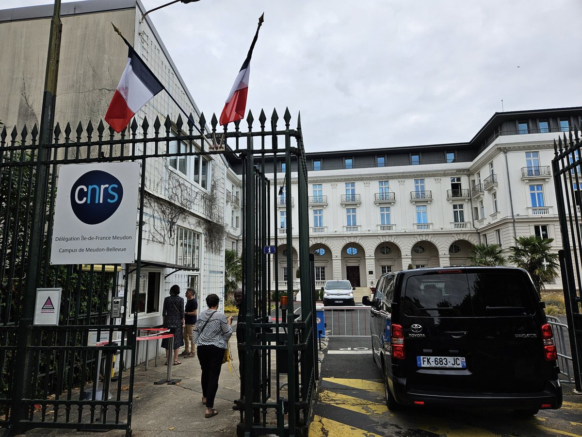 Thibaud Frechet tweet media