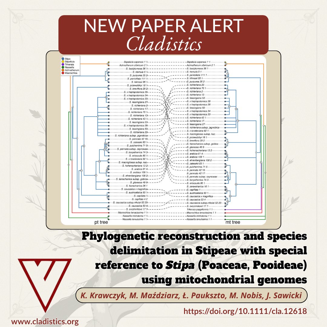 CladisticsAlert's tweet image. ⚠️#NewPaperAlert🌾
Phylogenetic reconstruction and species delimitation in Stipeae with special reference to 𝑆𝑡𝑖𝑝𝑎 (Poaceae, Pooideae) using mitochondrial genomes
By Krawczyk et al.
doi.org/10.1111/cla.12…

#Cladistics #Poaceae #Phylogenetics #Genome #Phylogenomics #Stipeae
