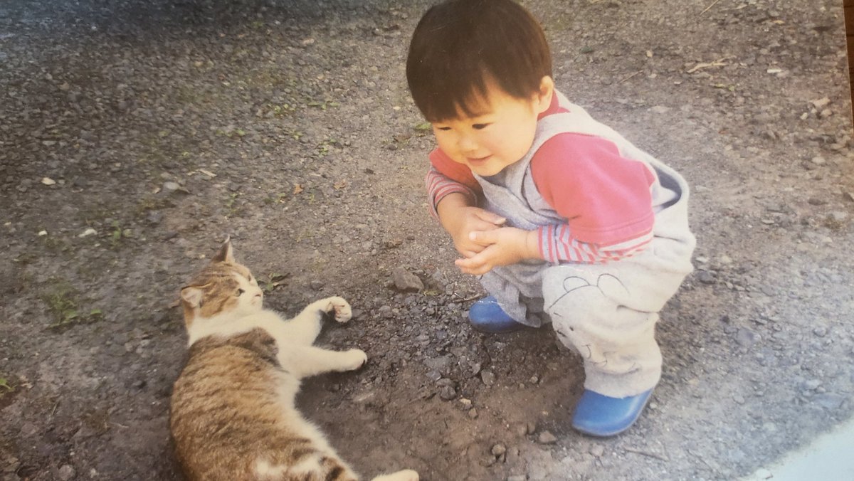 母をたずねて三百里ぐらい（帰省）