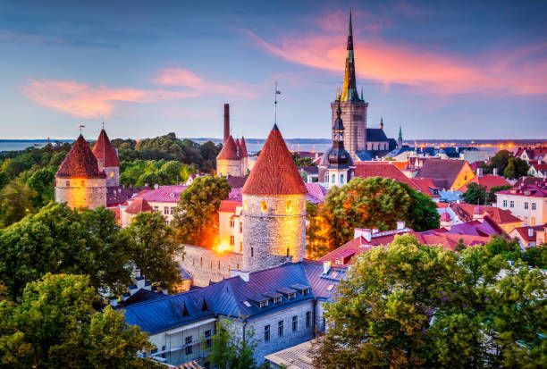 EssentiaGlobal's tweet photo. Estonia - VAT Rate Change from 22% to 24% effective 1 July 2025.

Further to our news story last year, Estonia has confirmed that it will change its standard VAT rate from 22% to 24% effective 1 July 2025. https://t.co/CVZojlOg6t