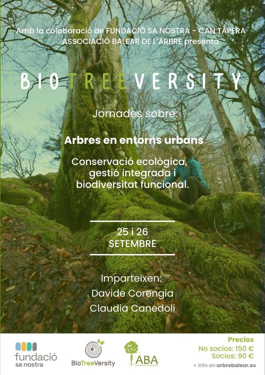 ARBREBALEAR's tweet image. 🌿✨ ¡Atención amantes de los árboles y la naturaleza urbana! ✨🌿
👉No os perdáis las jornadas #BIOTREEVERSITY de la mano de #ABA. Una oportunidad única para profundizar en el papel vital de los árboles en el entorno urbano. Conferencias, talleres y debates con expertos del…