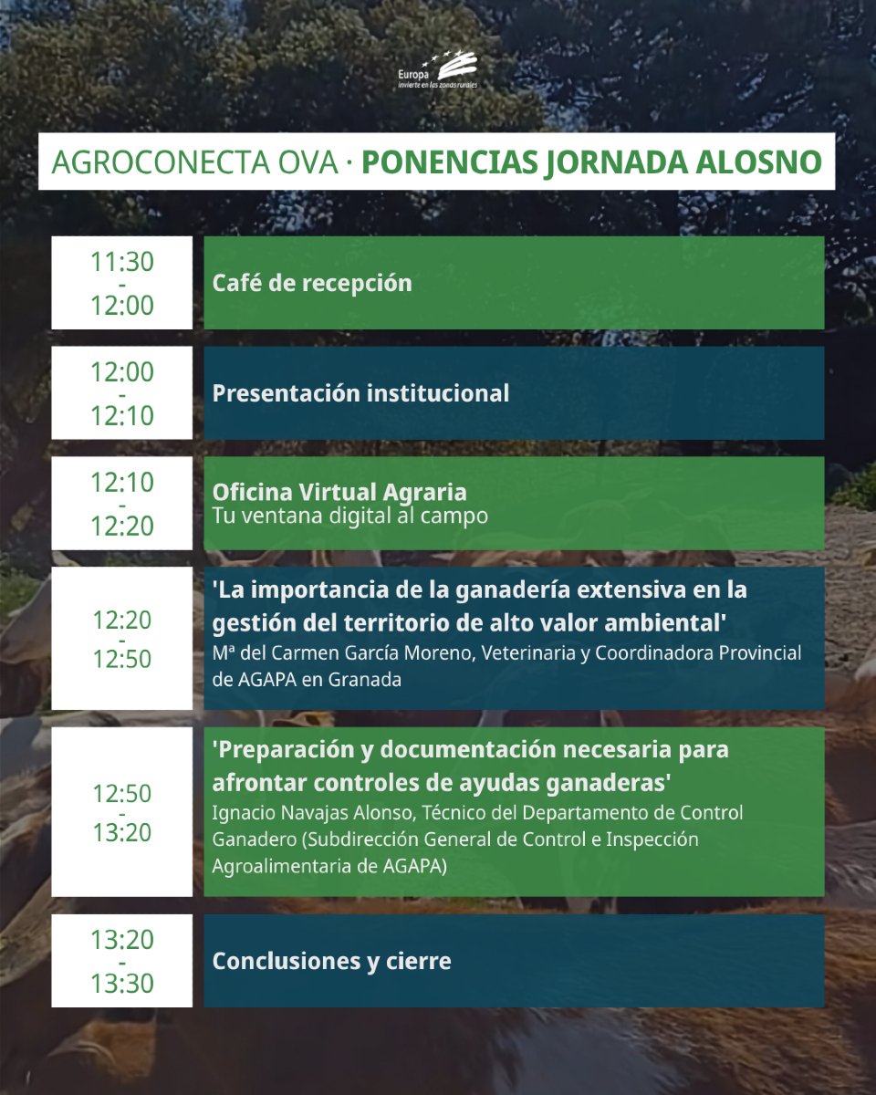 🐑 Ganadería andaluza con futuro.

Este lunes hablaremos de ayudas, controles y del papel clave de la ganadería extensiva para el mundo rural y el futuro de Andalucía.

📅 30 de junio, 11:30h
📍 Alosno (Huelva)

👉 ¡Inscríbete aquí! forms.gle/cSFyPFuwVMHHmz…