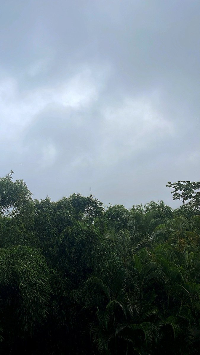 Jueves de lluvia. Buen día.