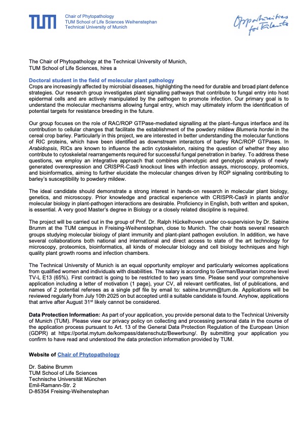 Sabine Brumm (@brummsabine) on Twitter photo Please RT: Open PhD Position @TUM <a href="/HuckelhovenR/">Ralph Hückelhoven</a> (Freising, Germany) Join our team and help us to decode the molecular mechanisms driving plant cell remodeling during fungal infection. Focus: RICs in Barley–Blumeria hordei interaction 🔬 CRISPR, microscopy, proteomics & more Please RT: Open PhD Position @TUM <a href="/HuckelhovenR/">Ralph Hückelhoven</a> (Freising, Germany) Join our team and help us to decode the molecular mechanisms driving plant cell remodeling during fungal infection. Focus: RICs in Barley–Blumeria hordei interaction 🔬 CRISPR, microscopy, proteomics & more