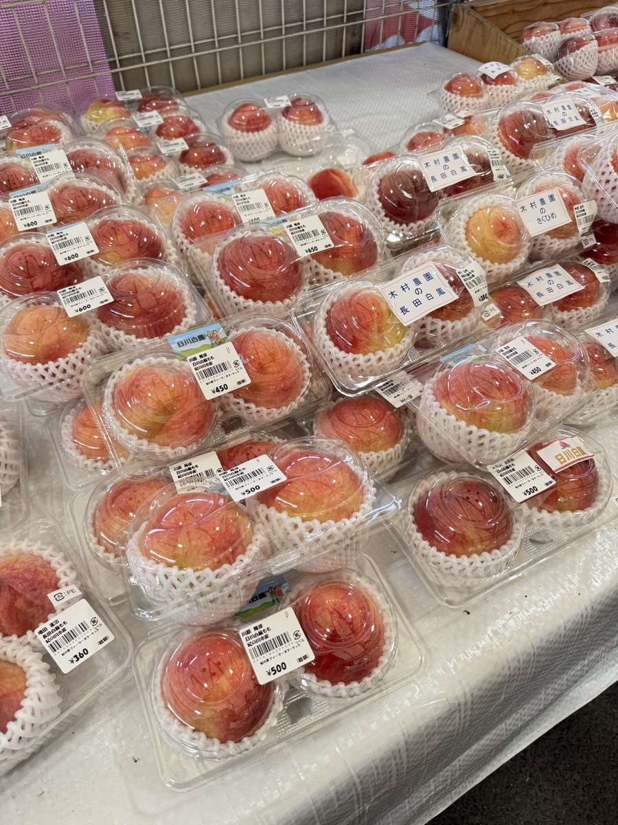 ooosan_003's tweet photo. 🍑【あら川の桃、販売本格化！】🍑
紀の川市では、夏の風物詩「あら川の桃」の販売が本格化しています！
めっけもん広場や市内の直売所には、朝から多くの人が訪れ、桃を手に取る姿があちらこちらに✨

#あら川の桃 #桃直売所 #めっけもん広場 
#紀の川市 #きのかわ暮らし https://t.co/piHQ657DjC