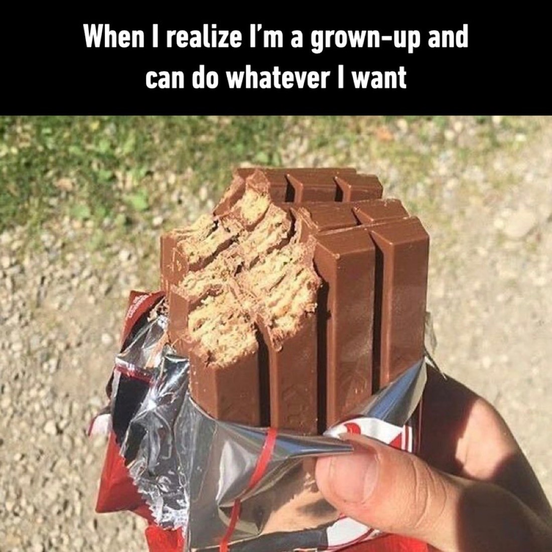 Out of Context Human Race (@nocontexthumans) on Twitter photo 