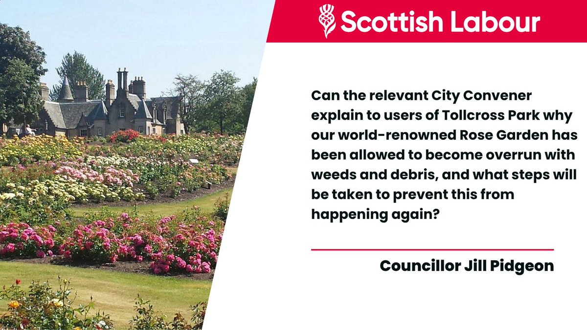 Glasgow Labour Group (@labour_gcc) on Twitter photo .<a href="/JillyPidgeon/">Cllr Jill Pidgeon</a> is asking for answers over the neglect of Tollcross Park’s world-famous Rose Garden and how the Council plans to fix it. .<a href="/JillyPidgeon/">Cllr Jill Pidgeon</a> is asking for answers over the neglect of Tollcross Park’s world-famous Rose Garden and how the Council plans to fix it.
