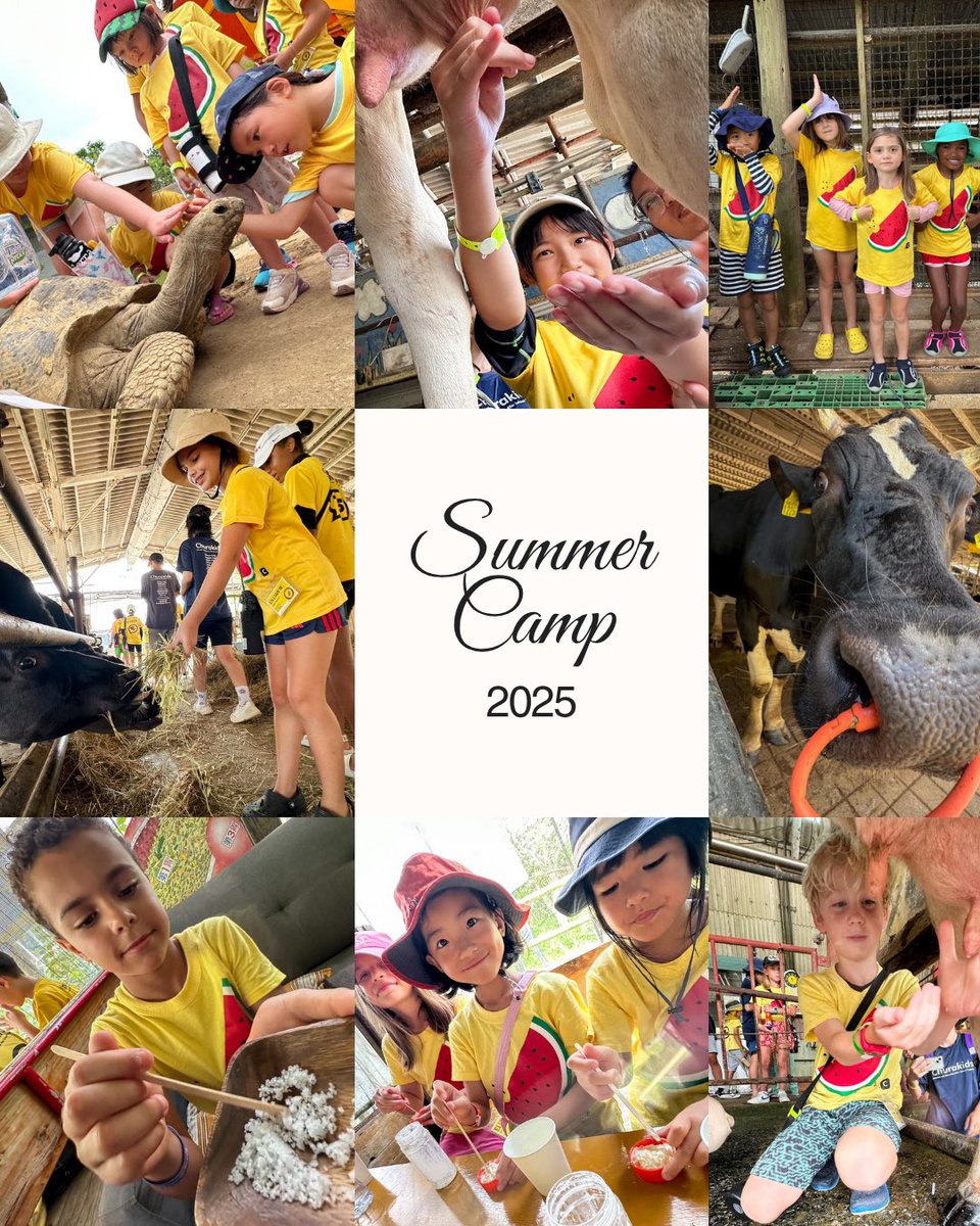 churakids's tweet photo. この夏は Churakids のサマーキャンプで、沖縄の自然を満喫しながら英語と国際交流を体験しよう！🍉🏕️ 
 
詳しくはこちら👇
https://t.co/HG9ktvQtje
 
#サマーキャンプ #英語サマーキャンプ #沖縄 #自然体験 #国際交流 #churakids #summercamp #internationalexchange #okinawa #japan https://t.co/KyyBKIDCYp
