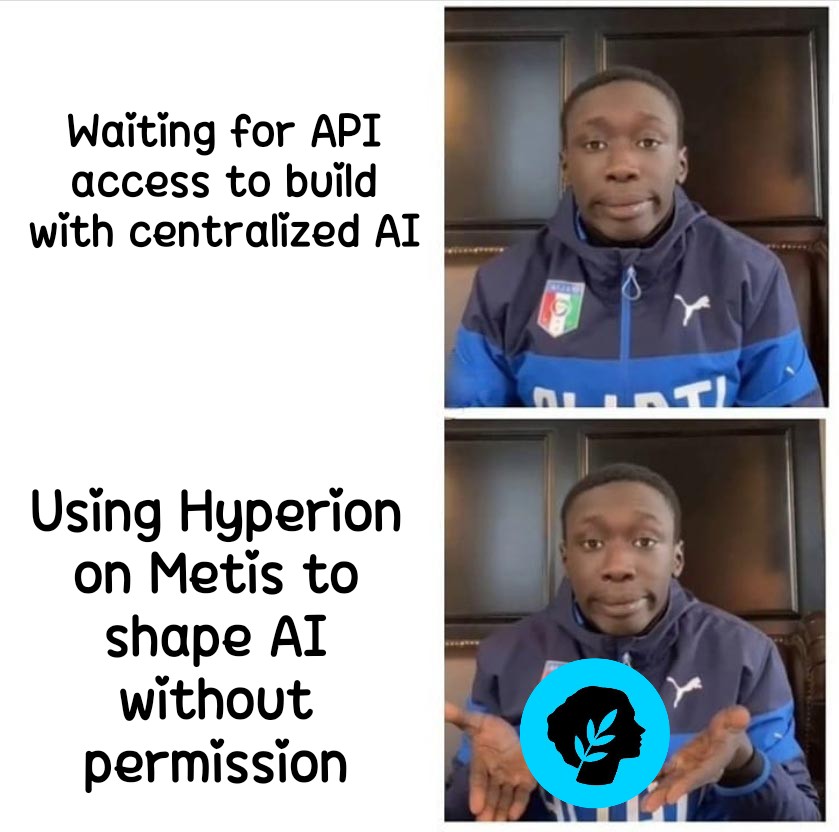 Not many have clocked this...

But AI shouldn’t be locked behind corporate APIs or centralized gatekeepers.

With <a href="/MetisL2/">Metis🌿</a> &amp; Hyperion, we finally get to decide what AI looks like &amp; who it works for.

Let’s build systems that serve people, not platforms.

Let's build on Hyperion🌿