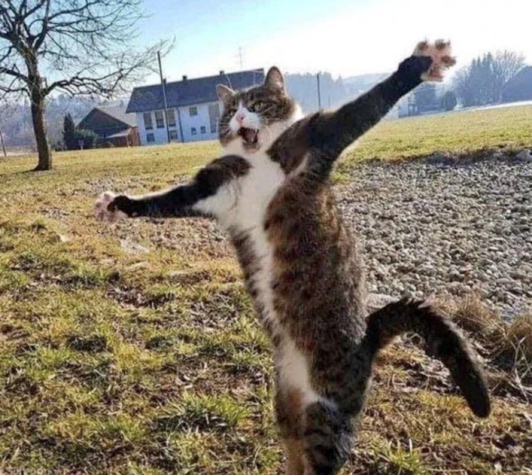 "I CAUGHT A MOUSE AND IT WAS THIS BIG I SWEAR TO GOD"