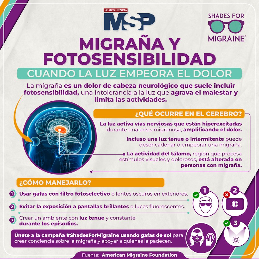 #MSPNeurología 🕶️ La fotosensibilidad es un síntoma común en migraña, incluso una luz tenue puede agravar el dolor debido a alteraciones en el tálamo, región que procesa estímulos visuales y dolorosos. Usa gafas de sol y únete a #ShadesForMigraine para crear conciencia.