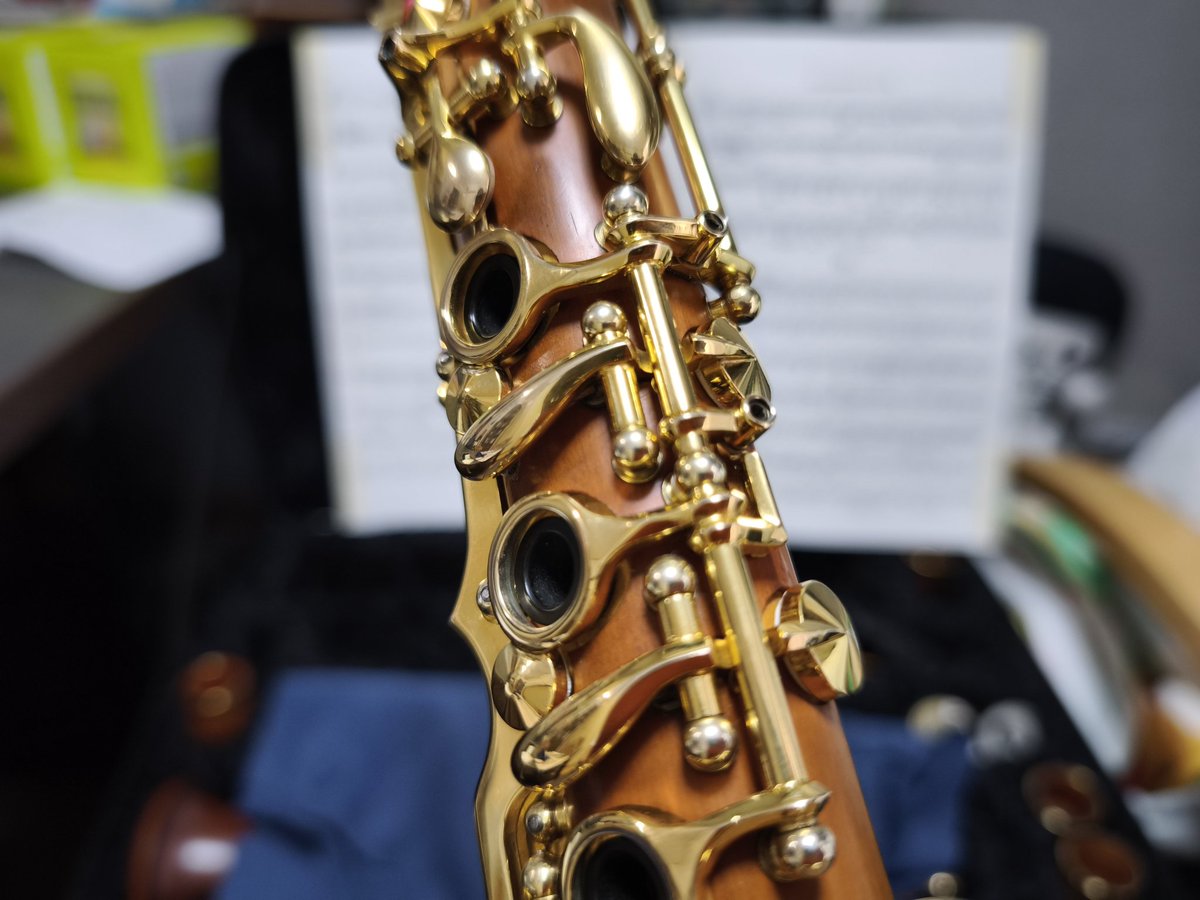 SS2000G/B tweet media