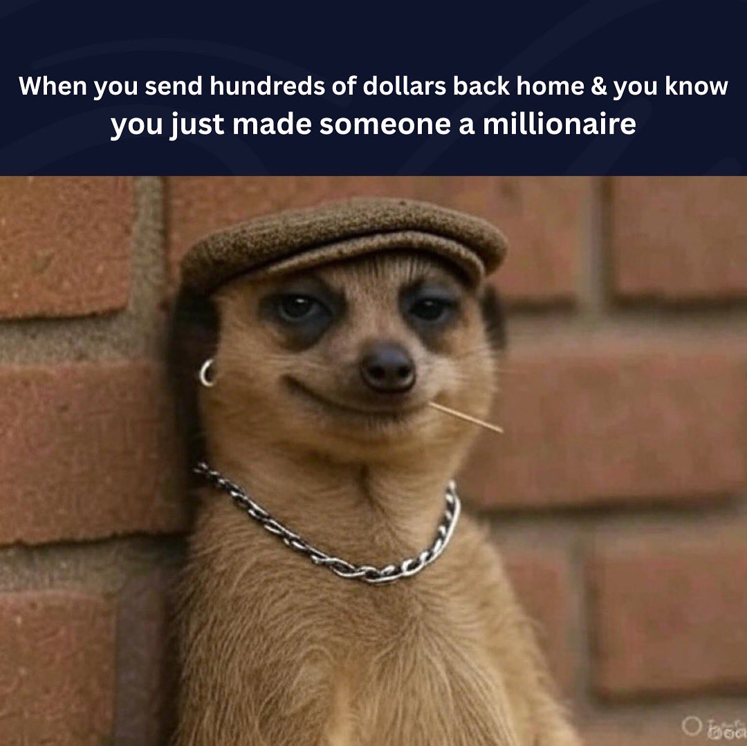 Never miss a meme post😂!
#afriex #Trending #meme