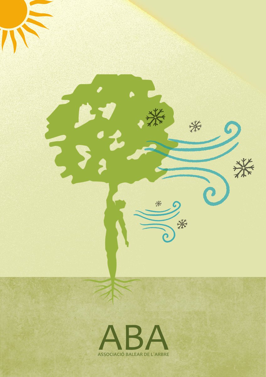 ARBREBALEAR's tweet image. A natural air conditioning system❄️ that doesn't need electricity, that filters the air, offers shelter and increases #biodiversity 🐦, promotes coexistence and health, helps protect the soil and urban drainage... Many benefits gathered in a single being: the tree🌳💚🌲#ABA #tree