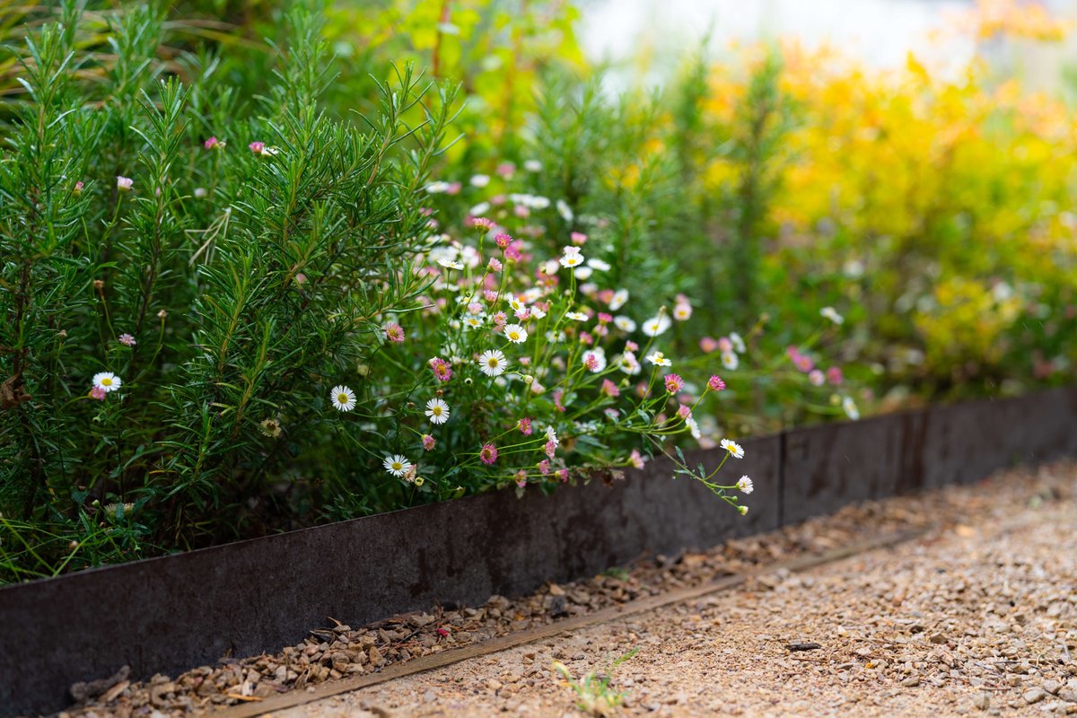 MeristemDesign's tweet image. How can #raingardens and #pocketparks work together? 🌿💧
At Kenilworth Pocket Park, we helped create a space that manages water, supports biodiversity & brings the community closer to nature.
SuDS + green space = #ClimateResilience.
#SuDS #UrbanGreening