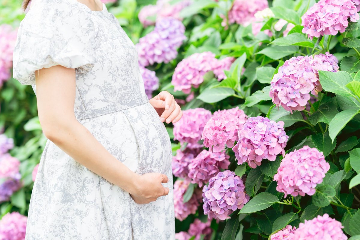 紫陽花×マタニティ🤰🩷
季節感あるマタニティフォト好きだなぁ〜🤍
私も桜満開のときにマタニティ撮ってもらった過去があります🥰🌸

#あきcamera