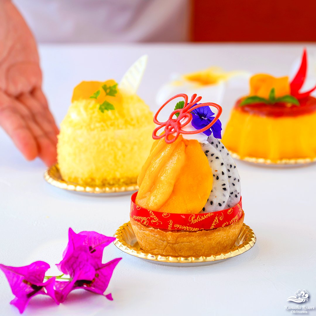 夏の暑さを吹き飛ばす、甘酸っぱい南国のフルーツを使った季節限定スイーツが登場です🌿

盛夏の季節限定スイーツは、
「ガトーフロマージュ」
「夏陽（なつひ）」
「季節のタルト」の3品。

カヌチャのパティシエが心を込めてお届けする、この季節だけの贅沢な味わいです🥭