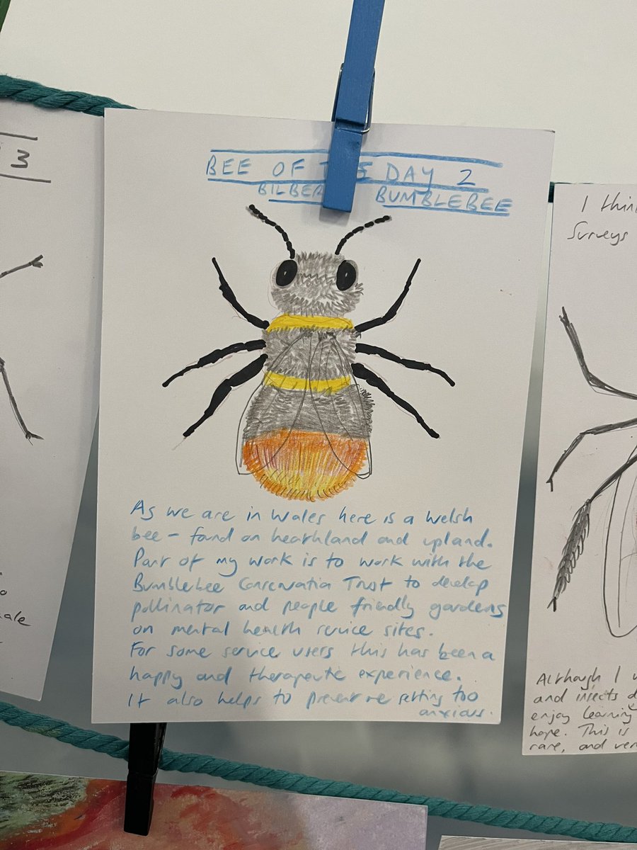 dr_l_evans's tweet image. For those waiting on Bee of the Day. We have enjoyed the bees tremendously!