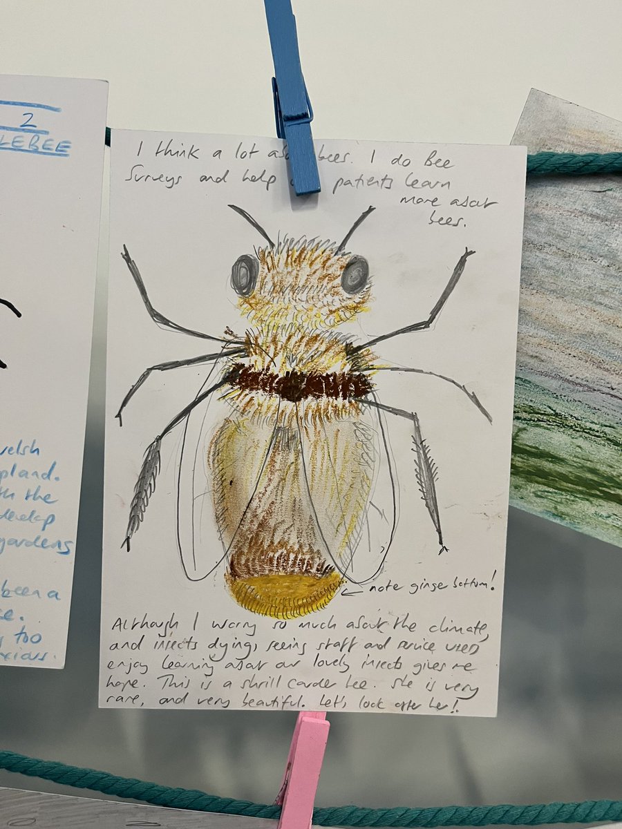 dr_l_evans's tweet image. For those waiting on Bee of the Day. We have enjoyed the bees tremendously!