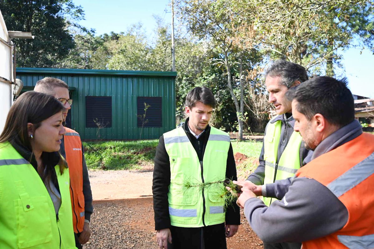 Vicegobernación Misiones tweet media