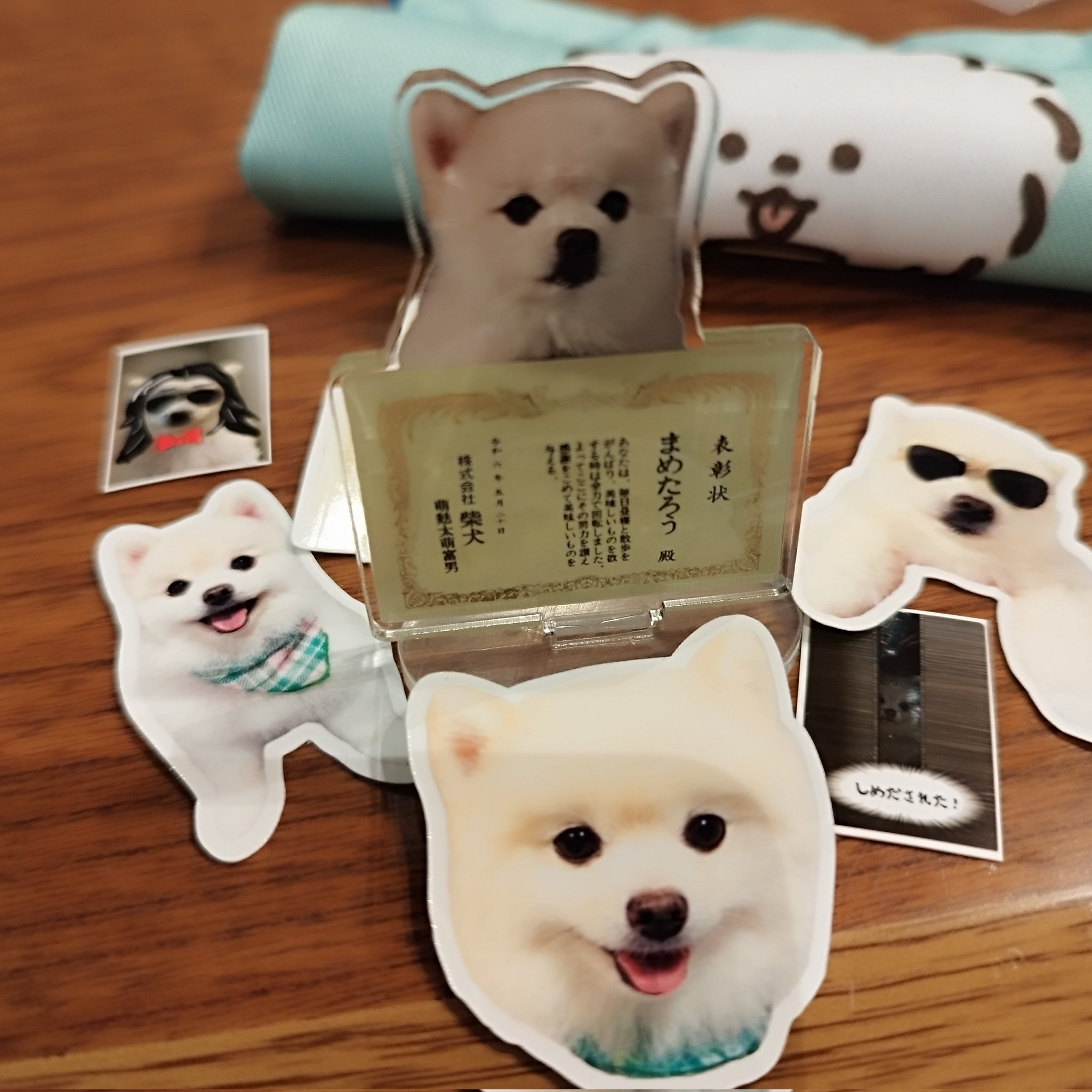 『5年保証』 まめたろう感想 - Search / X 財布・ケース・小物入れ