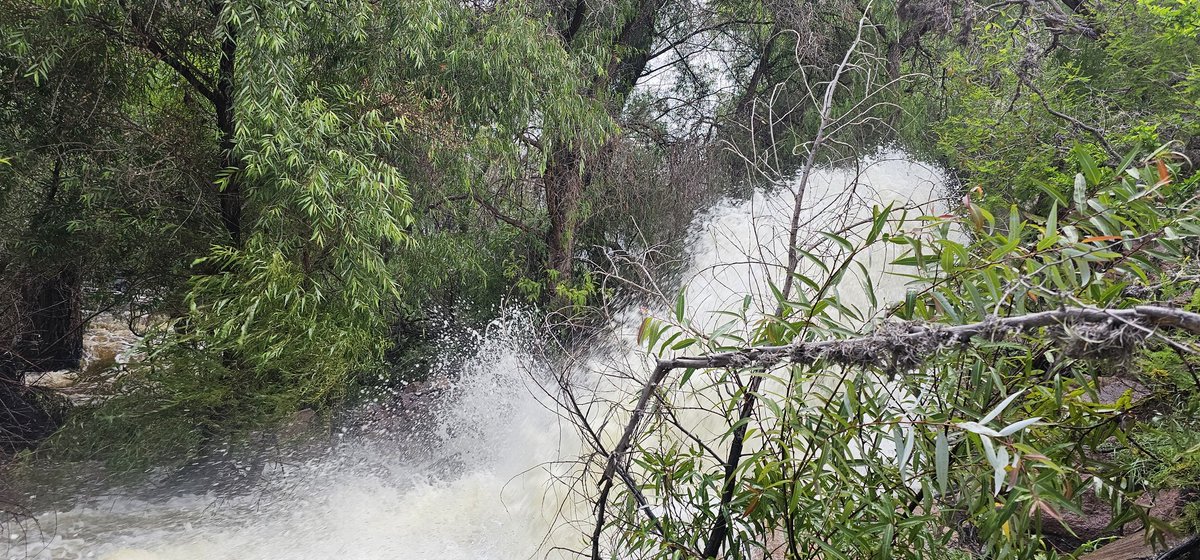 Arquitexto (@perrinperrito) on Twitter photo 