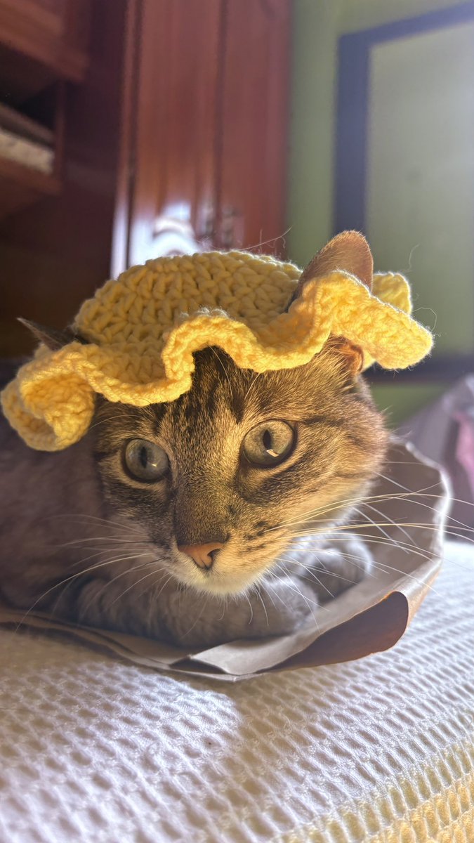 olayaribeiro's tweet photo. Una princesita con su sombrero nuevo🌻 https://t.co/Z6BDrGKsgp