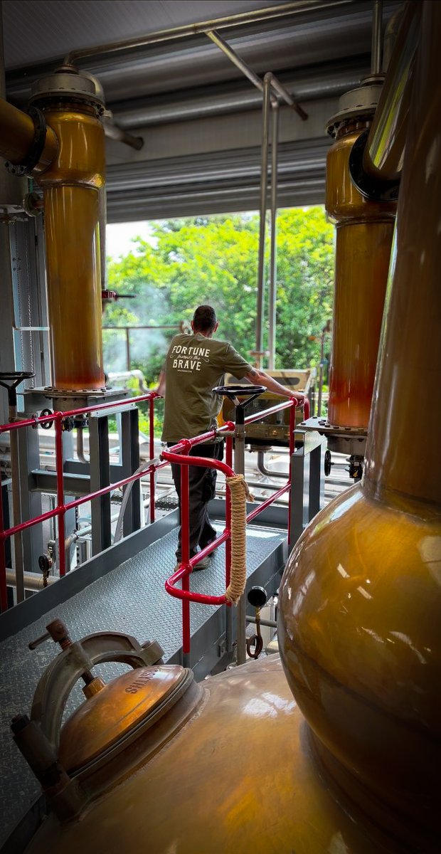 Wolfburn tweet media