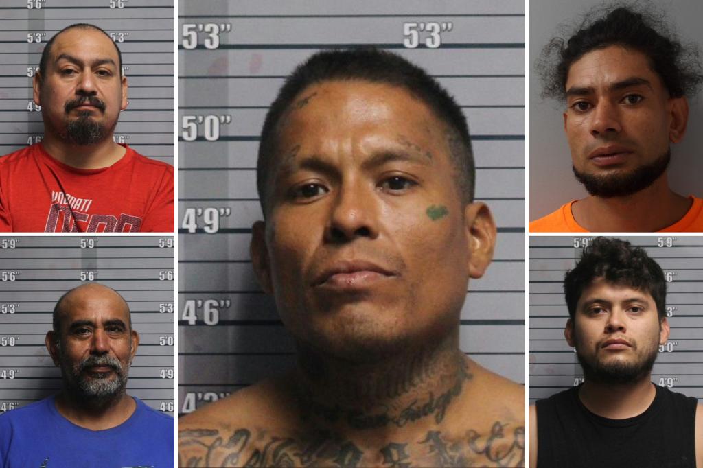 Illegal migrant arrested for peeping in 13-year-old girl’s window — with ICE nabbing 4 others in his home trib.al/wzZ0tMC