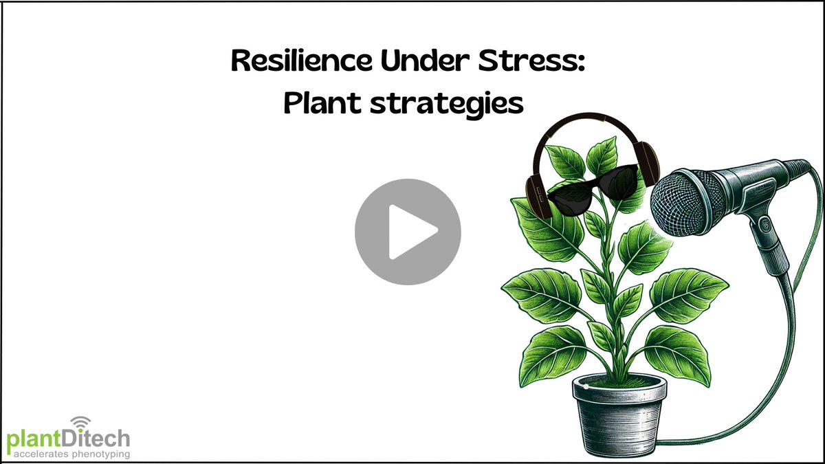 A new episode of our podcast - Survival Genetic Code: Forest Trees Under Drought🌲🎙️
Here we explore two research studies comparing Aleppo and Brutia pines in terms of drought response. We also examine the molecular mechanisms of drought stress &amp; recovery 
youtu.be/eqludT6lN6I