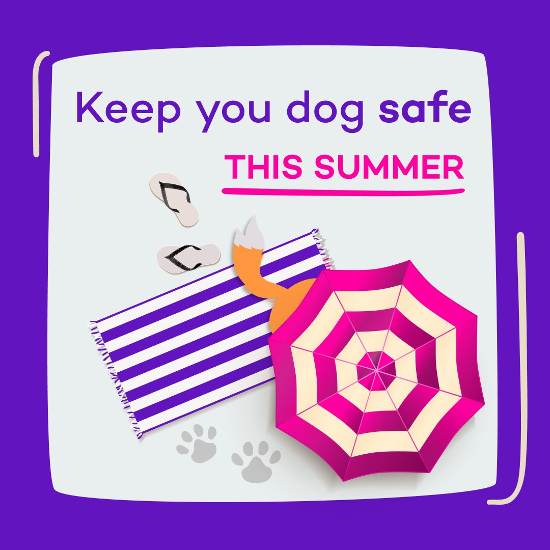 To make sure you’re ready to help your dog have their best summer, we sat down with our resident vet nurse to get her advice on how to keep dogs safe in the heat.    

Check out our guide full of tips to make sure they have a paw-fectly safe summer!   

👉 ow.ly/685Q50WaIQS