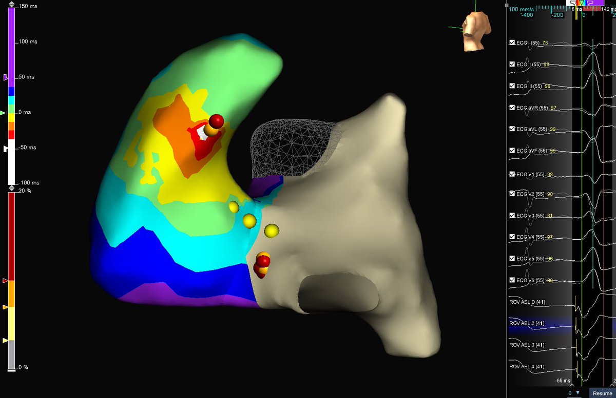 Taylor Perkins tweet media