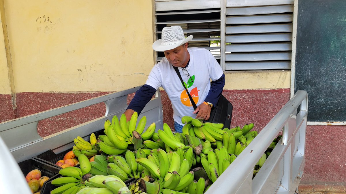 WFP Cuba (@wfp_cuba) on Twitter photo 👩🌾¡Actúa diferente! en el terreno.
Visitamos círculos infantiles, escuelas primarias, fincas; centros apoyados por el proyecto de #WFPCuba con fondos de #KOICA
Los impactos y resultados, contados por sus protagonistas en Urbano Noris, Holguín.
<a href="/ACN_Cuba/">Agencia Cubana de Noticias</a>
acn.cu/cuba/impulsa-p… 👩🌾¡Actúa diferente! en el terreno.
Visitamos círculos infantiles, escuelas primarias, fincas; centros apoyados por el proyecto de #WFPCuba con fondos de #KOICA
Los impactos y resultados, contados por sus protagonistas en Urbano Noris, Holguín.
<a href="/ACN_Cuba/">Agencia Cubana de Noticias</a>
acn.cu/cuba/impulsa-p…