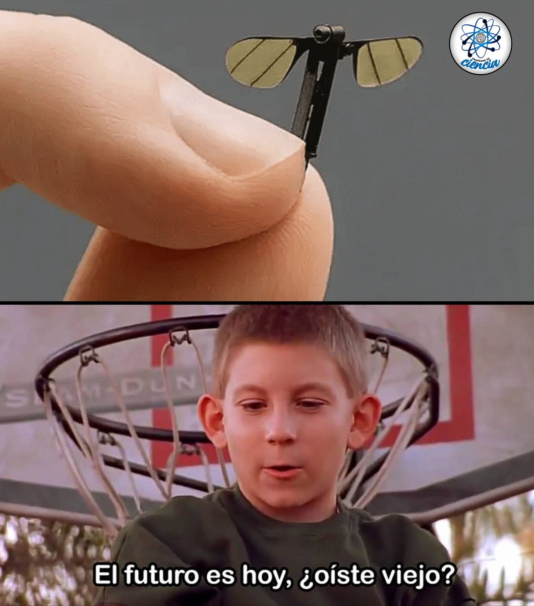 ¡UNA LOCURA! 😯

China acaba de crear un dron espía con forma de mosquito. Silencioso, diminuto y controlado desde el móvil. Este insecto dron revela hasta dónde llega la tecnología militar para imitar la naturaleza y dominar el campo de batalla.