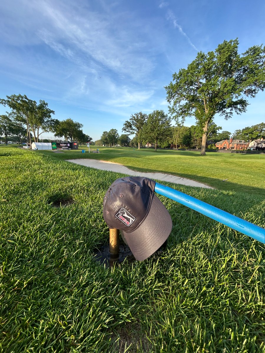 Mike Mosquera ⚡️ tweet media