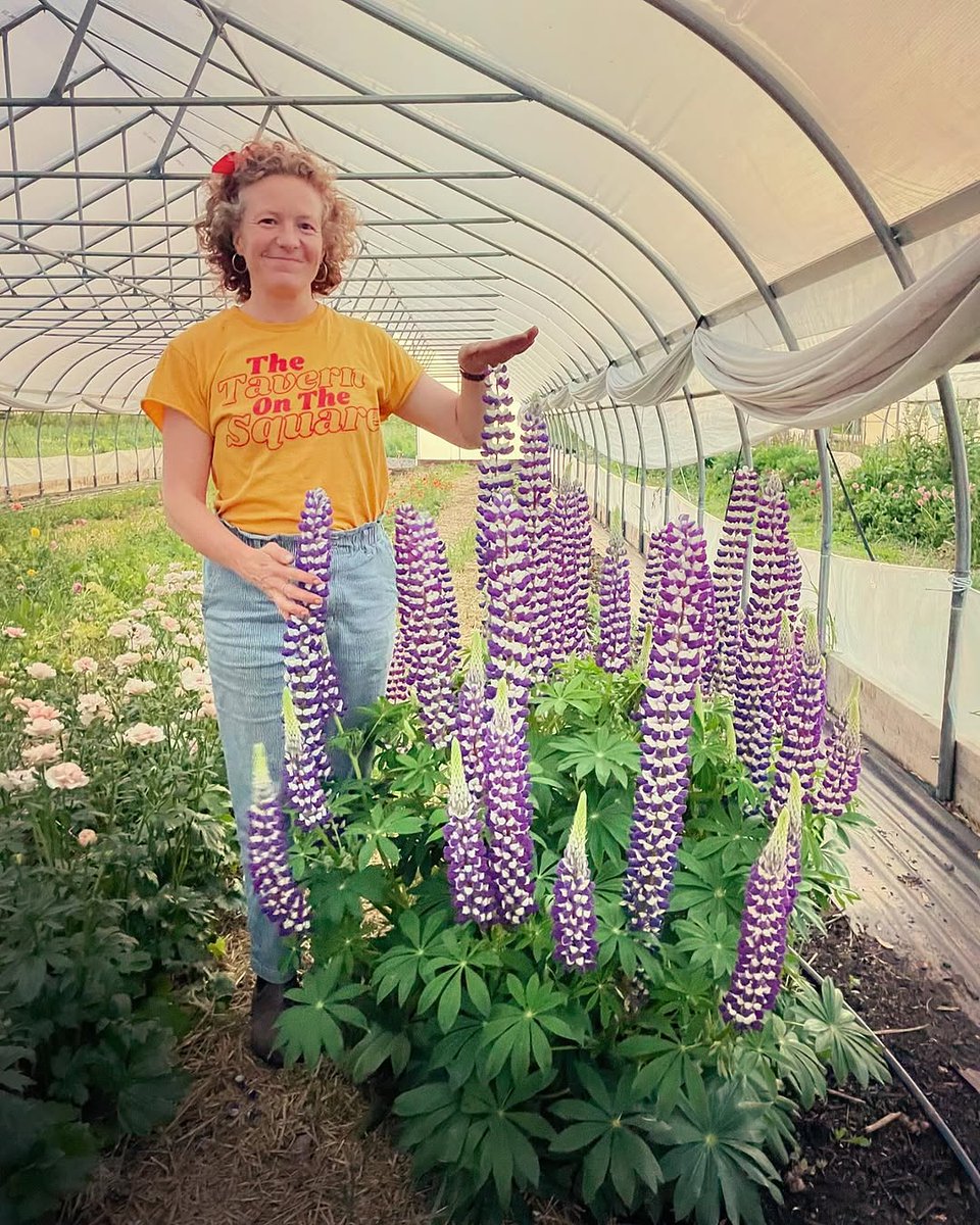 NiftyHoops's tweet image. Big plans for your farm this season? Let’s bring them to life. Our team is ready to design and build a high tunnel that fits your needs.
Fill out a quote form and grow with us 🌱 niftyhoops.com/contact/quote 
#NiftyHoops #HoopHouseExperts #GrowWithUs