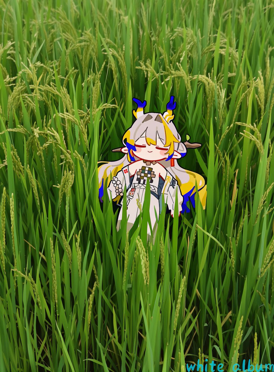 #アークナイツ #明日方舟 #Arknights #黍
禾下乘凉