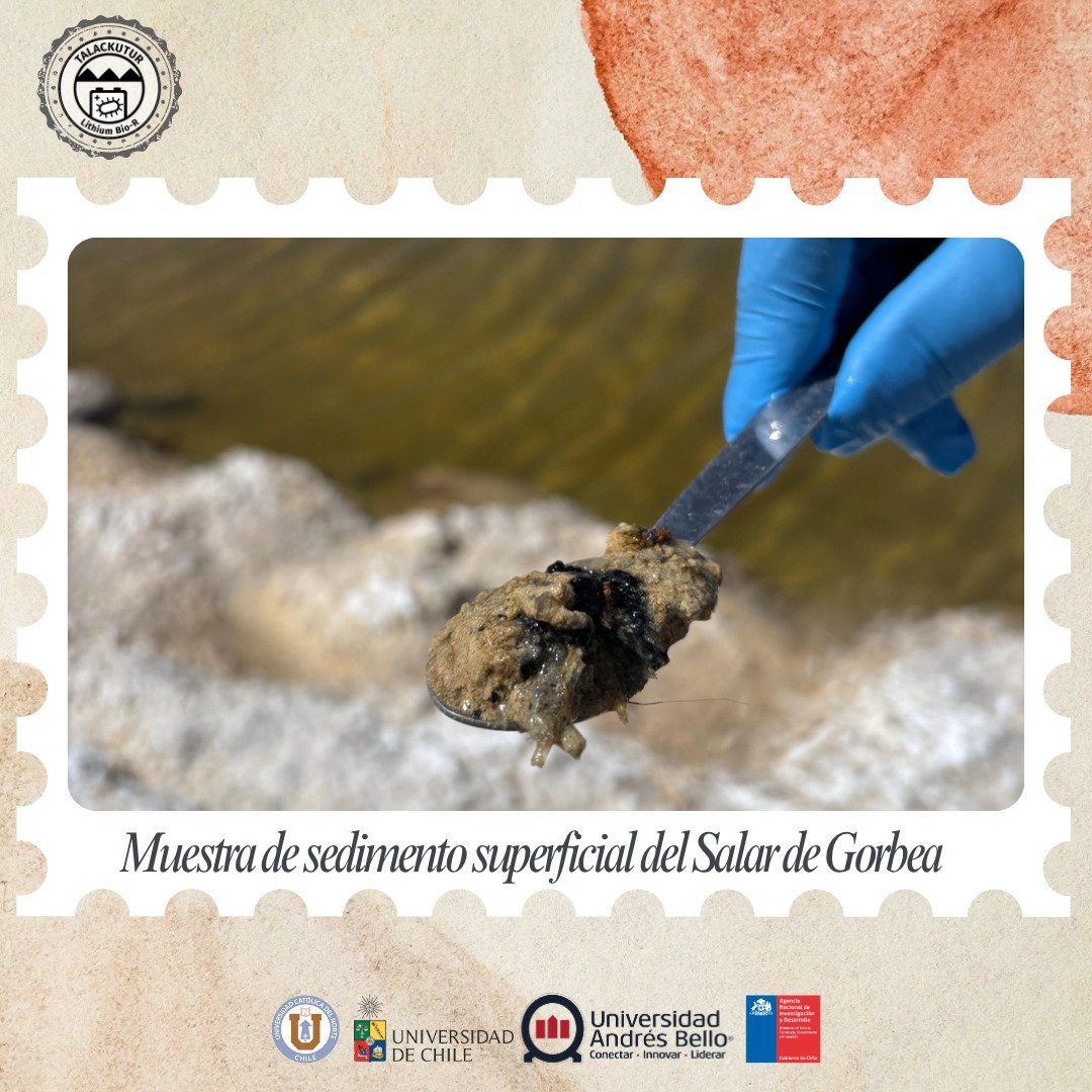 Lithium_rucn's tweet image. #PostalesTalackutur!
📍 Tercera postal
📆 Abril 2025 – Campaña de terreno
🧭 Salar de Gorbea, Regiones de Antofagasta y Atacama, Altiplano chileno (aprox. 3,946 m s.n.m.)
📷 Fotografía: Amanda Suárez