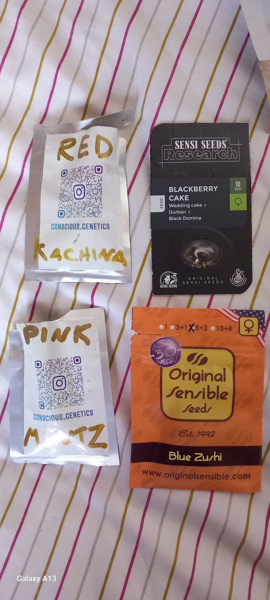 q_indaloft2 (@qindaloft) on Twitter photo Gonna use the last 4 photos on this next run. Then I'll need more seeds. #concious_genetics (need 2 grow Red well as made amazing hash) <a href="/OS_Seeds/">Original Sensible Seeds</a>
sensibleseed (loving their Blue Zushi) N <a href="/SensiSeeds/">SensiSeeds</a>.official Gonna use the last 4 photos on this next run. Then I'll need more seeds. #concious_genetics (need 2 grow Red well as made amazing hash) <a href="/OS_Seeds/">Original Sensible Seeds</a>
sensibleseed (loving their Blue Zushi) N <a href="/SensiSeeds/">SensiSeeds</a>.official