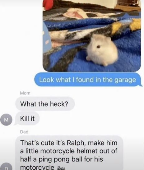 internet hall of fame (@interneth0f) on Twitter photo 