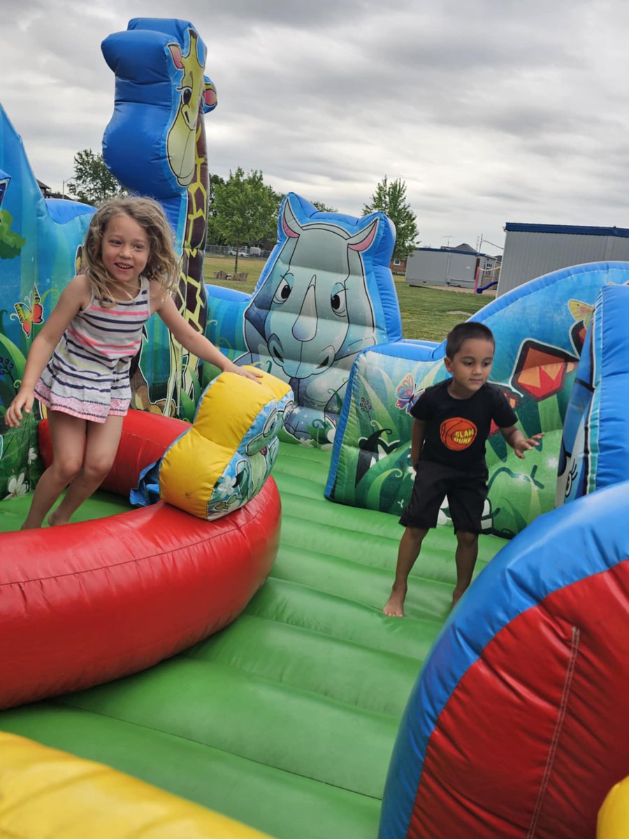 Holley DOrazio tweet media