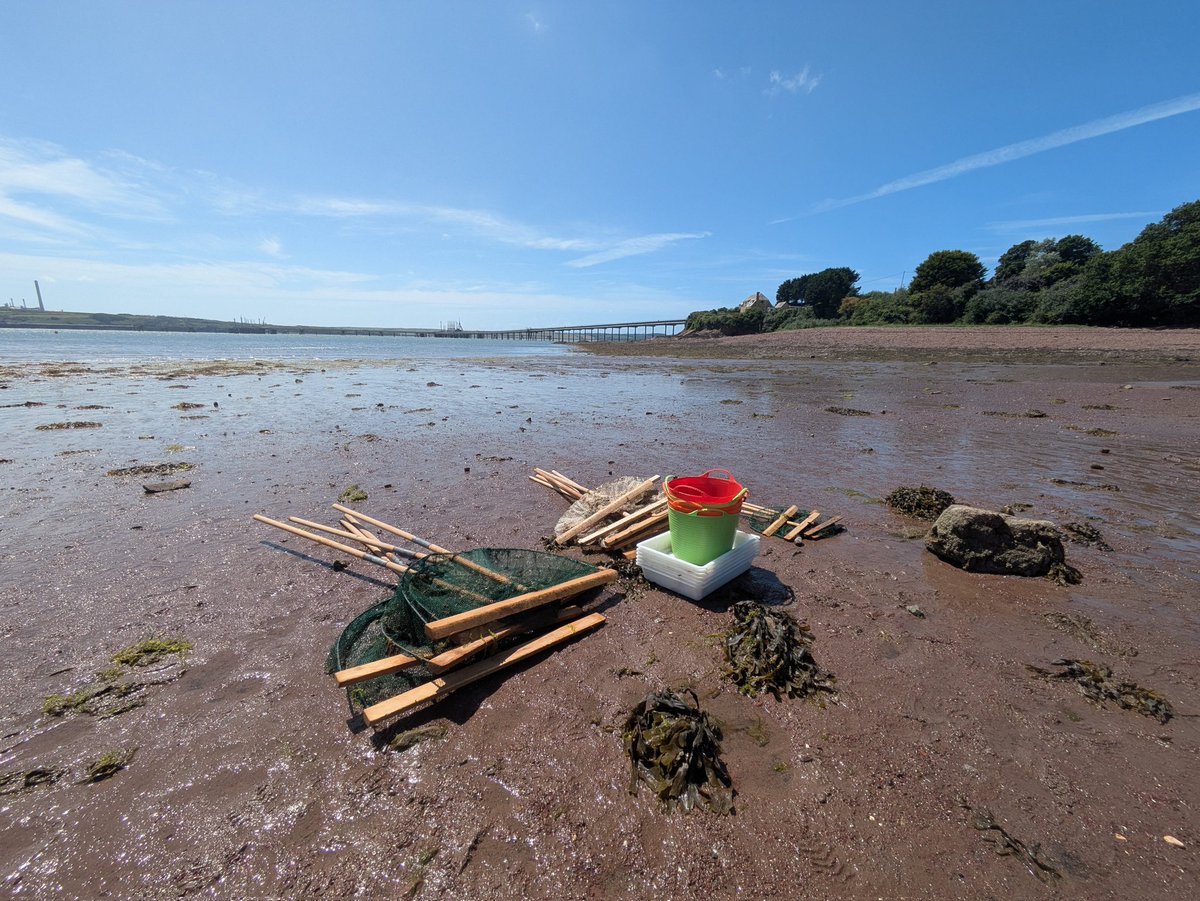 Darwin Centre (@darwincentre) on Twitter photo Beautiful day at Gelliswick Beach! Today we are push netting in the shallows to see what marine species live in the bay! <a href="/GelliswickVC/">Gelliswick VC</a> #MarineBiology #STEMfieldtrip #OutdoorLearning #OutdoorClassroom #Estuary #Cleddau #PushNetting l Beautiful day at Gelliswick Beach! Today we are push netting in the shallows to see what marine species live in the bay! <a href="/GelliswickVC/">Gelliswick VC</a> #MarineBiology #STEMfieldtrip #OutdoorLearning #OutdoorClassroom #Estuary #Cleddau #PushNetting l