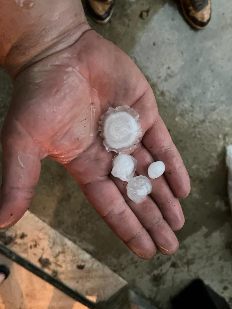 Château Saint Louis tweet media