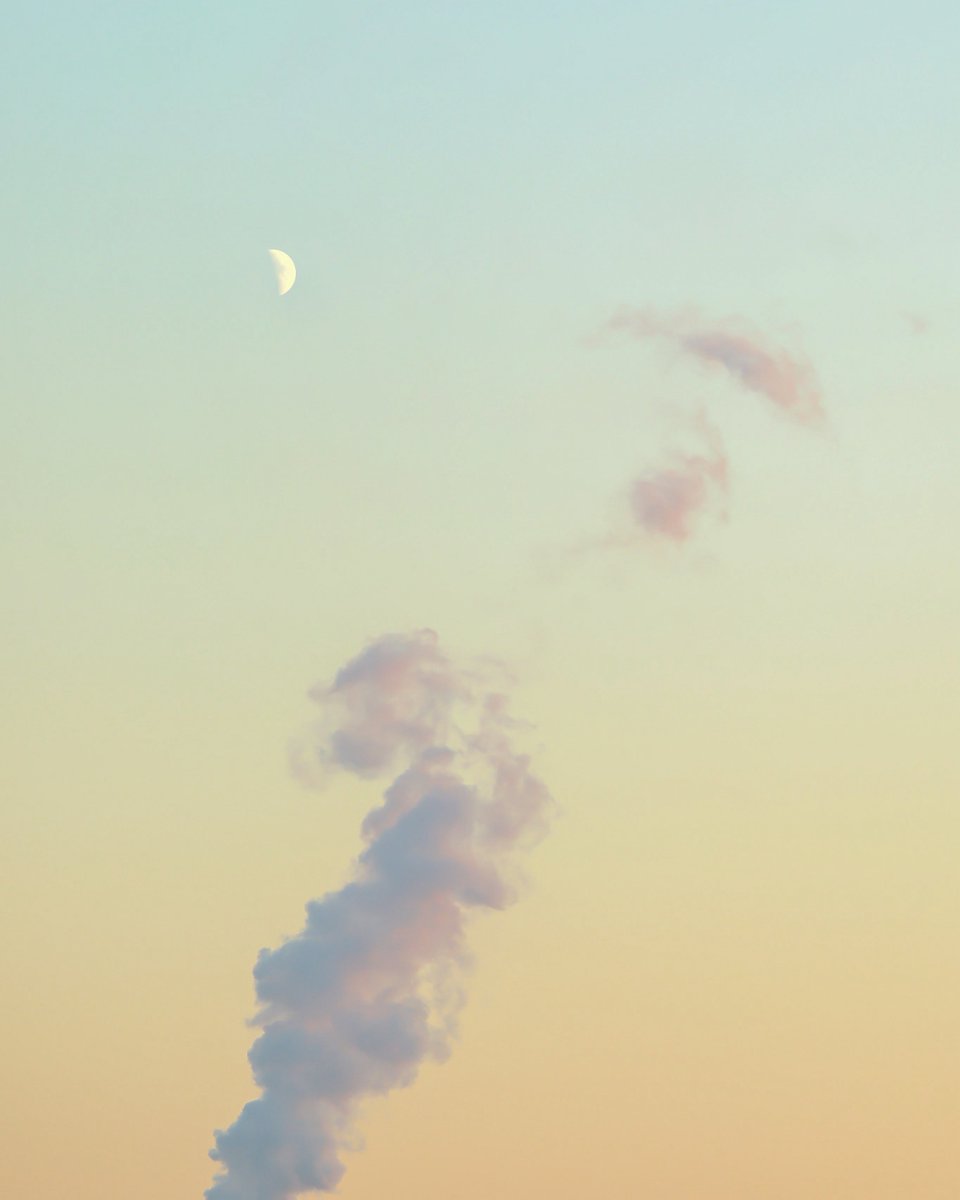 _photo_kisk's tweet image. 君が毎日笑顔でありますように