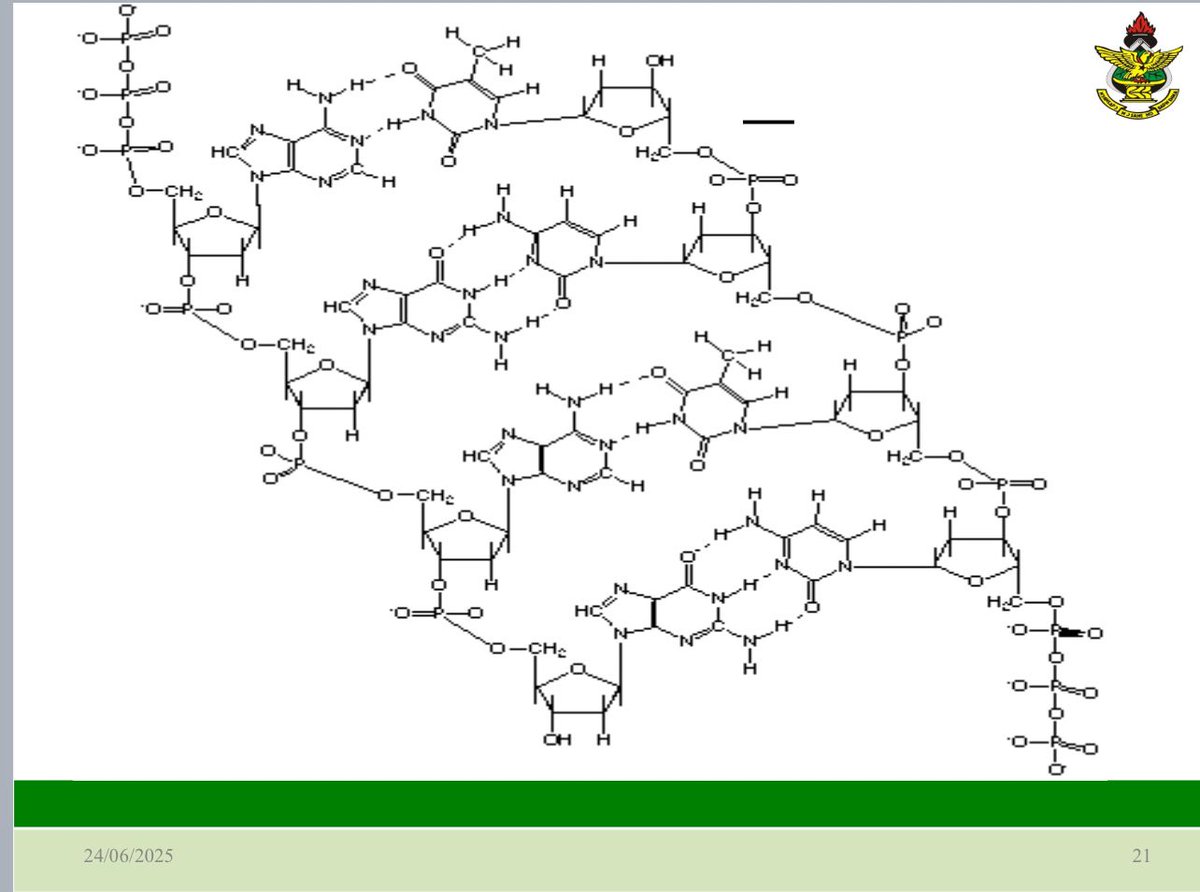 After SHS: “I want to offer pharmacy because I love chemistry”

The chemistry now:  👀💔