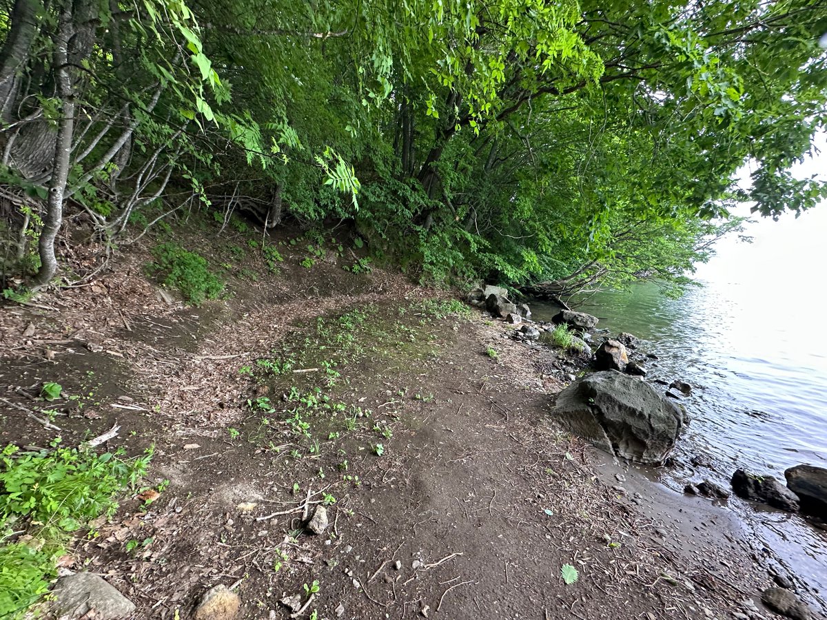屈斜路湖で
時間がなくファミコン版の和琴温泉の現場まで歩かなかった人達のために私はダッシュしました！

いまは跡形もなくどこから温泉を引き入れていたかもわからないぐらいの更地になっていました。

めぐみの聖地！

やっと見せることが出来ました！

#オホーツクに消ゆFMT2025初夏