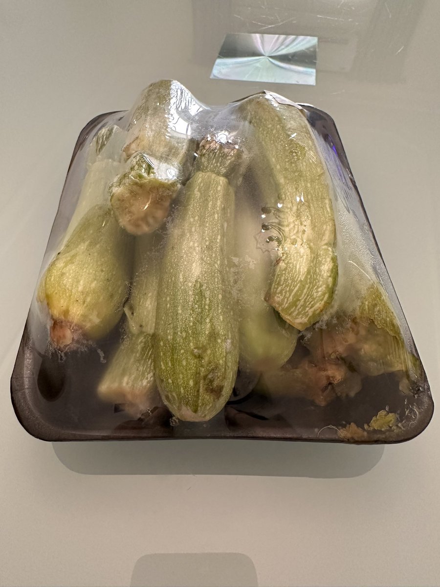 A7lamkhoja's tweet photo. @Ninjaappksa حسبي الله ونعم الوكيل على موقعكم كل مااشتري خضار يوصلني بهذي الطريقه المعفنه لا كزبر�� كويسه ولا بقدونس ولا اي خضار عندكم كويس اتقو الله في الاشياء الي تبيعوها قسم بالله كذا مره كلمكتم على هذا الموضوع فعلا انكم ماتخافو الله https://t.co/rLd9lWqgXj