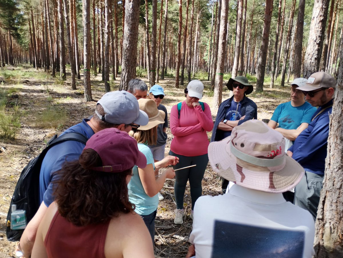 rayo_pinto's tweet photo. 🛀🦠🔥🌲 jabones, microorganismos, incendios y gestión forestal.
Fue un placer compartir conocimiento y experiencias en el día de los montes en #Riocamba
Gracias a todos los que asistieron!!!
#diadelosmontesCyL #divulgacion #gestionforestal https://t.co/iShkQbFUMv